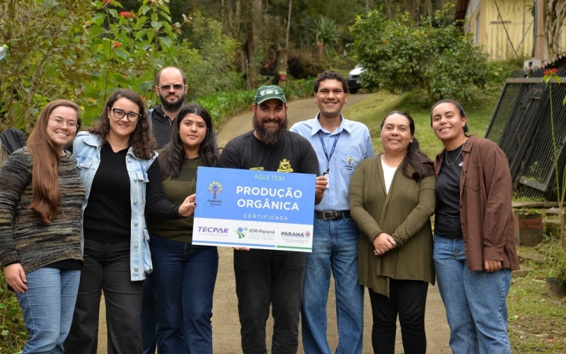 Apicultor do Ribeirão do Tigre é o primeiro a receber certificação orgânica na produção de mel